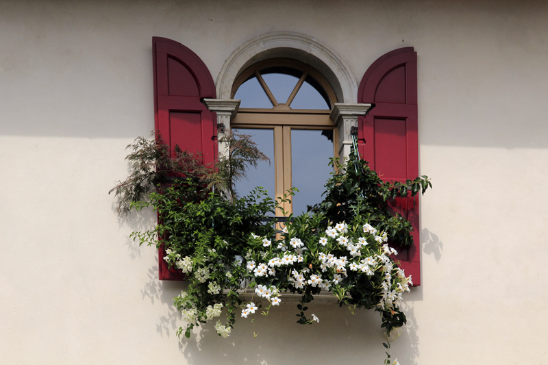 2017-08-31_135628 trentino-suedtirol-2017.jpg - Feltre